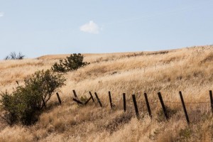 20140728-hwy2-2027